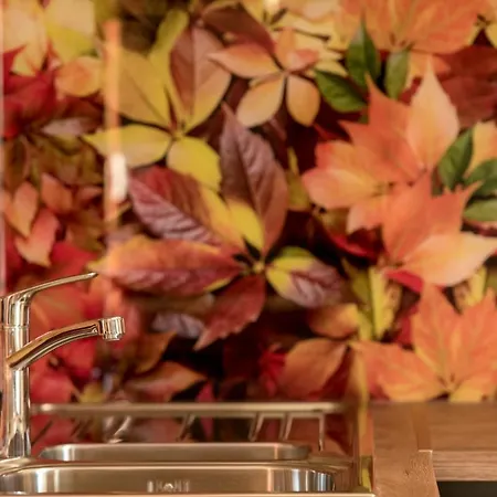 View Of Apartament *